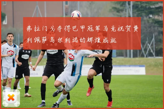 弗拉门戈夺得巴甲冠军马竞祝贺费利佩萨乌尔利诺的辉煌成就