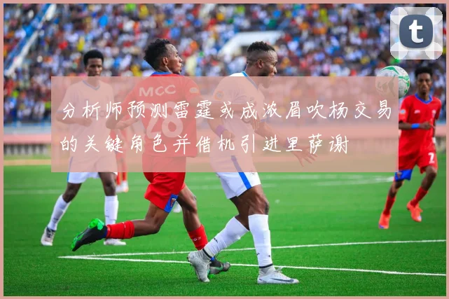 分析师预测雷霆或成浓眉吹杨交易的关键角色并借机引进里萨谢