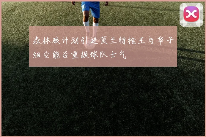 森林狼计划引进莫兰特枪王与华子组合能否重振球队士气