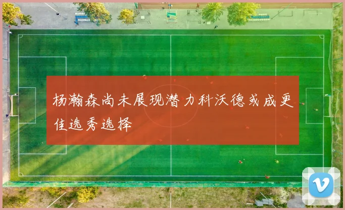 杨瀚森尚未展现潜力科沃德或成更佳选秀选择