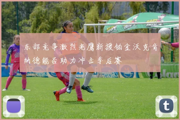东部竞争激烈老鹰新援铂金沃克肯纳德能否助力冲击季后赛
