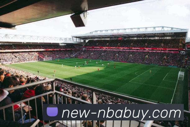 NBA买球网站品牌故事